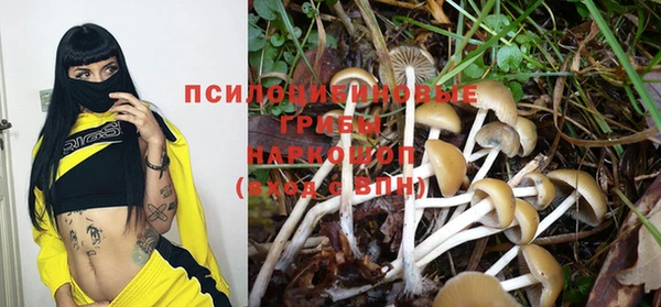 молекула духа Абдулино