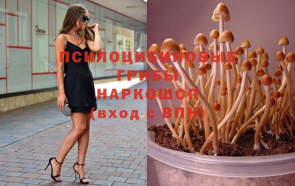 jwh Абинск
