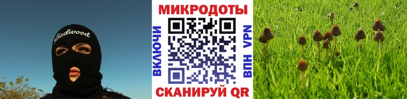 мега онион Тутаев Псилоцибиновые грибы прущие грибы
